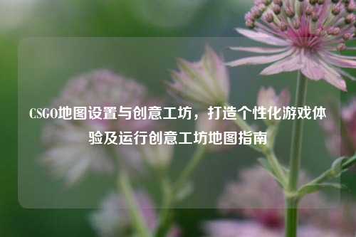 CSGO地图设置与创意工坊,打造个性化游戏体验及运行创意工坊地图指南