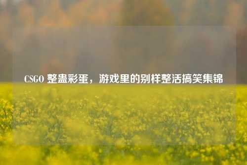 CSGO 整蛊彩蛋,游戏里的别样整活搞笑集锦