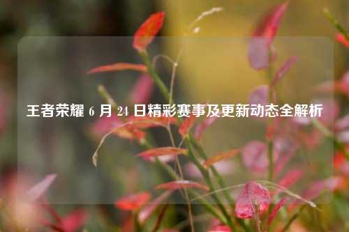 王者荣耀 6 月 24 日精彩赛事及更新动态全解析