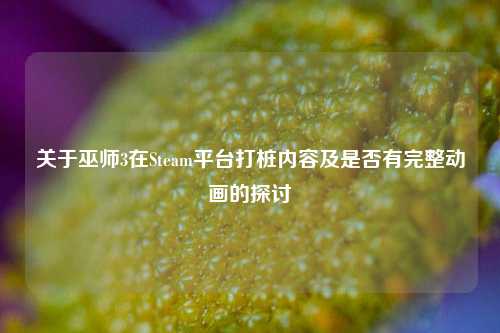 关于巫师3在Steam平台打桩内容及是否有完整动画的探讨