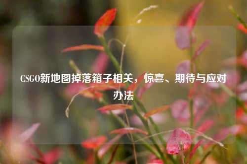 CSGO新地图掉落箱子相关,惊喜、期待与应对办法