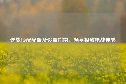 逆战顶配配置及设置指南,畅享极致枪战体验