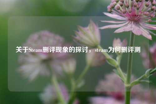 关于Steam删评现象的探讨,steam为何删评测
