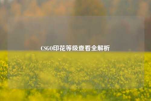 CSGO印花等级查看全解析