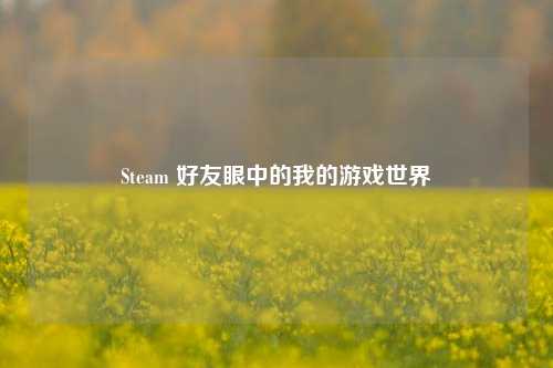 Steam 好友眼中的我的游戏世界