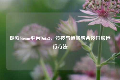探索Steam平台Dota2,竞技与策略融合及国服运行方法