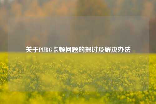 关于PUBG卡顿问题的探讨及解决办法