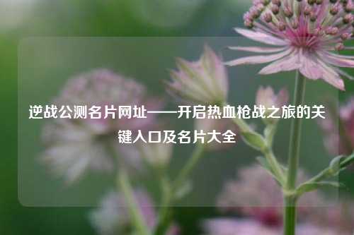 逆战公测名片网址——开启热血枪战之旅的关键入口及名片大全