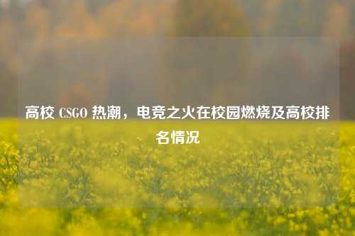 高校 CSGO 热潮,电竞之火在校园燃烧及高校排名情况