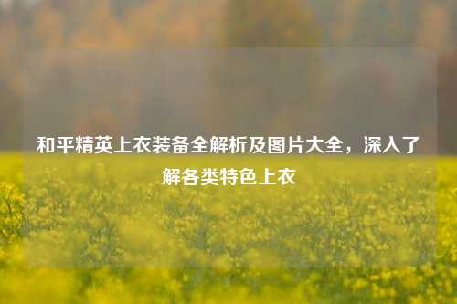 和平精英上衣装备全解析及图片大全,深入了解各类特色上衣