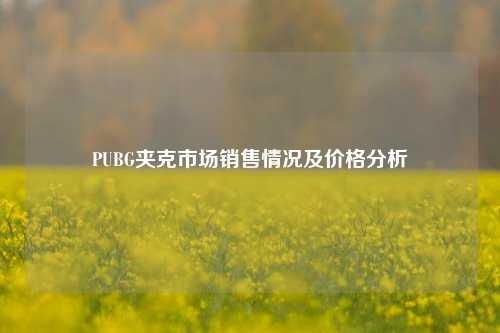 PUBG夹克市场销售情况及价格分析