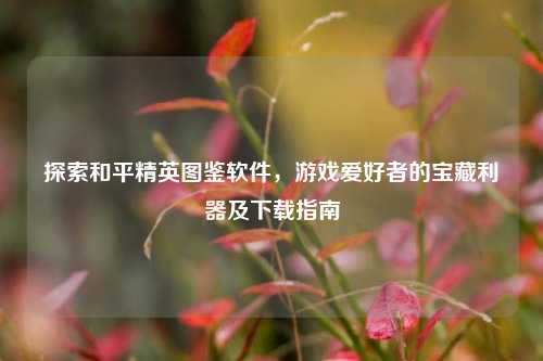 探索和平精英图鉴软件,游戏爱好者的宝藏利器及下载指南
