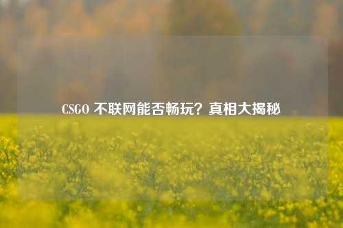 CSGO 不联网能否畅玩?真相大揭秘