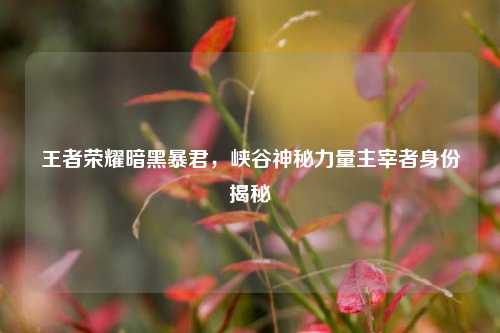 王者荣耀暗黑暴君,峡谷神秘力量主宰者身份揭秘