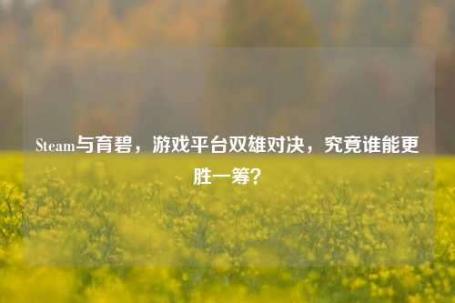 Steam与育碧,游戏平台双雄对决,究竟谁能更胜一筹?