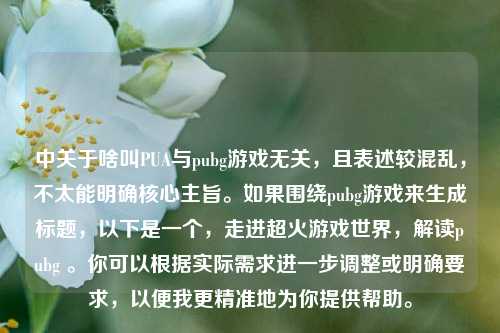 中关于啥叫PUA与pubg游戏无关,且表述较混乱,不太能明确核心主旨。如果围绕pubg游戏来生成标题,以下是一个,走进超火游戏世界,解读pubg 。你可以根据实际需求进一步调整或明确要求,以便我更精准地为你提供帮助。