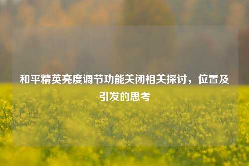 和平精英亮度调节功能关闭相关探讨,位置及引发的思考