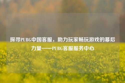 探寻PUBG中国客服,助力玩家畅玩游戏的幕后力量——PUBG客服服务中心