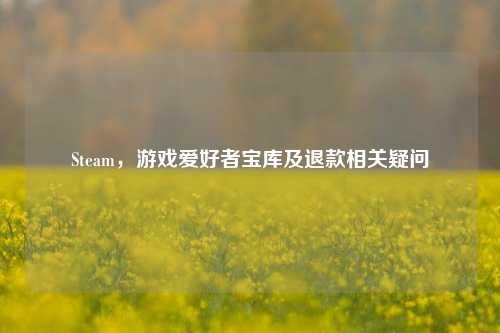 Steam,游戏爱好者宝库及退款相关疑问