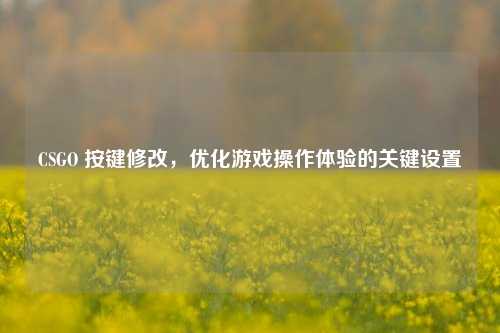 CSGO 按键修改,优化游戏操作体验的关键设置