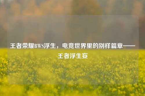 王者荣耀BWS浮生,电竞世界里的别样篇章——王者浮生妄