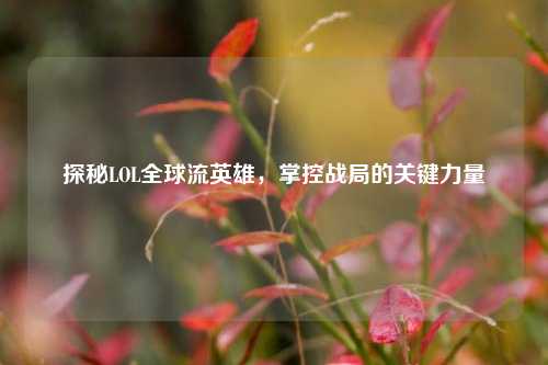 探秘LOL全球流英雄,掌控战局的关键力量