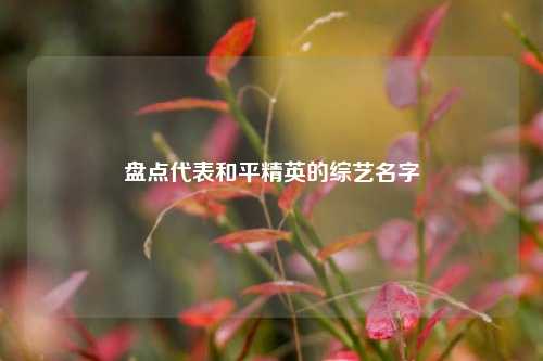 盘点代表和平精英的综艺名字