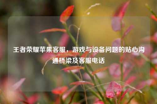王者荣耀苹果客服，游戏与设备问题的贴心沟通桥梁及客服电话