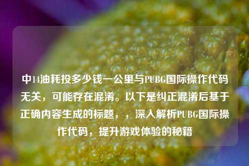 中14油耗投多少钱一公里与PUBG国际操作代码无关，可能存在混淆。以下是纠正混淆后基于正确内容生成的标题，，深入解析PUBG国际操作代码，提升游戏体验的秘籍