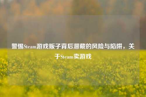 警惕Steam游戏贩子背后潜藏的风险与陷阱,关于Steam卖游戏