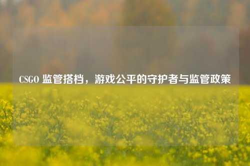 CSGO 监管搭档,游戏公平的守护者与监管政策