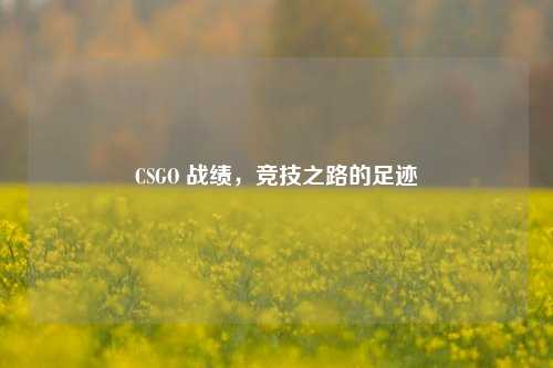 CSGO 战绩,竞技之路的足迹