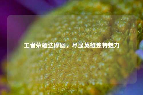 王者荣耀达摩图,尽显英雄独特魅力