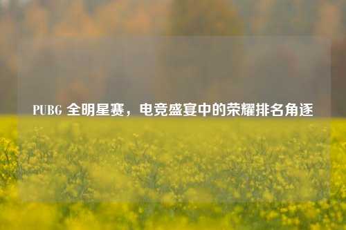PUBG 全明星赛,电竞盛宴中的荣耀排名角逐