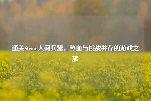 通关Steam人间兵器,热血与挑战并存的游戏之旅