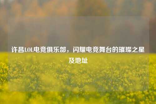许昌LOL电竞俱乐部,闪耀电竞舞台的璀璨之星及地址