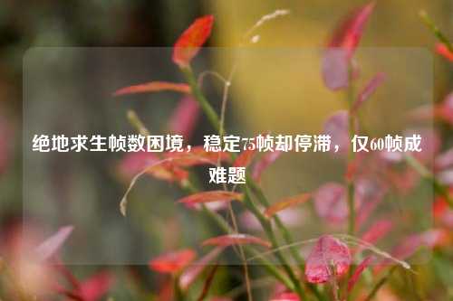 绝地求生帧数困境,稳定75帧却停滞,仅60帧成难题
