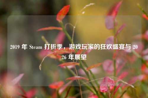 2019 年 Steam 打折季,游戏玩家的狂欢盛宴与 2026 年展望
