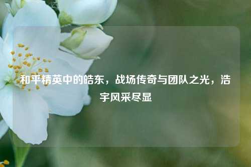 和平精英中的皓东,战场传奇与团队之光,浩宇风采尽显