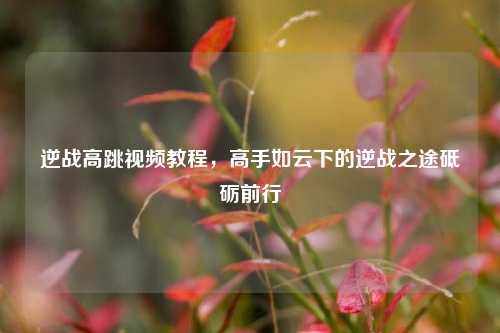 逆战高跳视频教程,高手如云下的逆战之途砥砺前行