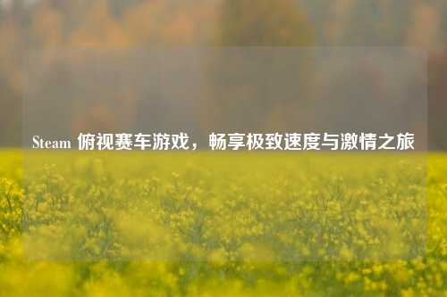 Steam 俯视赛车游戏,畅享极致速度与激情之旅