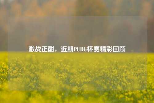 激战正酣,近期PUBG杯赛精彩回顾