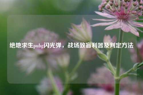 绝地求生pubg闪光弹,战场致盲利器及判定方法
