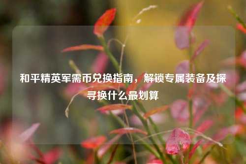 和平精英军需币兑换指南,解锁专属装备及探寻换什么最划算