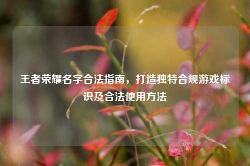 王者荣耀名字合法指南,打造独特合规游戏标识及合法使用方法