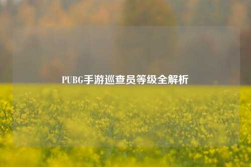 PUBG手游巡查员等级全解析