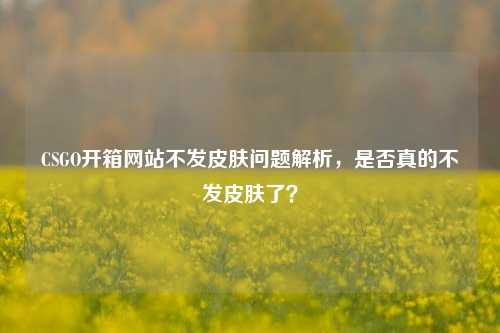 CSGO开箱网站不发皮肤问题解析,是否真的不发皮肤了?