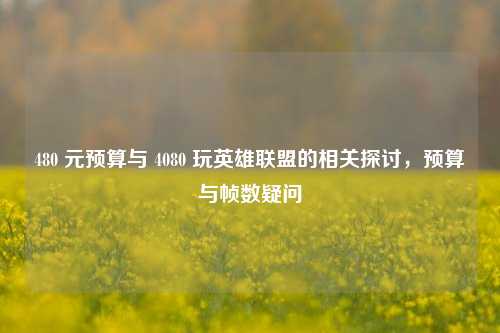 480 元预算与 4080 玩英雄联盟的相关探讨,预算与帧数疑问
