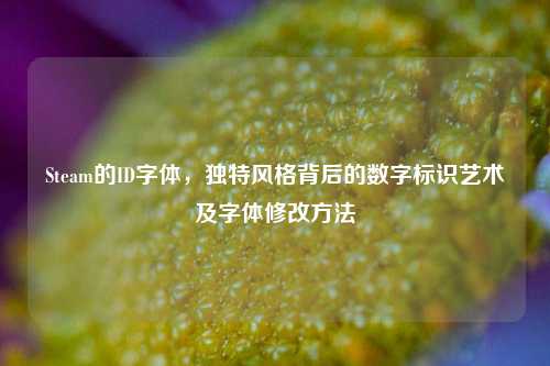 Steam的ID字体,独特风格背后的数字标识艺术及字体修改方法