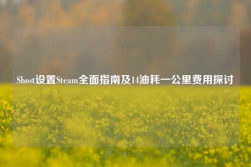 Shost设置Steam全面指南及14油耗一公里费用探讨